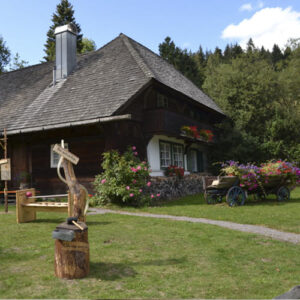 henslerhof im Sommer